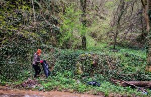 Niški planinari u velikoj akciji čišćenja Suve planine – 80 učesnika sakupilo 270 džakova smeća Niški planinari u velikoj akciji čišćenja Suve planine