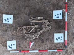 Otkriveno praistorijsko naselje i grobovi stari oko 8.000 godina kod Malče Otkriveno praistorijsko naselje i grobovi stari oko 8.000 godina kod Malče