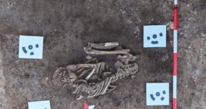 Otkriveno praistorijsko naselje i grobovi stari oko 8.000 godina kod Malče Otkriveno praistorijsko naselje i grobovi stari oko 8.000 godina kod Malče