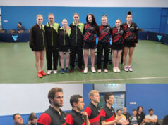 Super liga Srbije: Josip Kolumbo u finalu, Železničar juri majstoricu Stonoteniserke Josipa Kolumba i Lužnice i stonoteniseri Železničara Niš