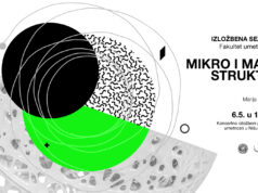 Izložba „Mikro i makro strukture” od večeras u Nišu – dijalog digitalnog i materijalnog sveta