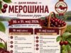 Dani višnje u Merošini: Tradicija, oblačinka i koncert „Zane“