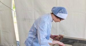 Gastro-turistički festival okupio učesnike iz 14 zemalja: Počela dvodnevna kulinarska nadmetanja na keju Gastro fest
