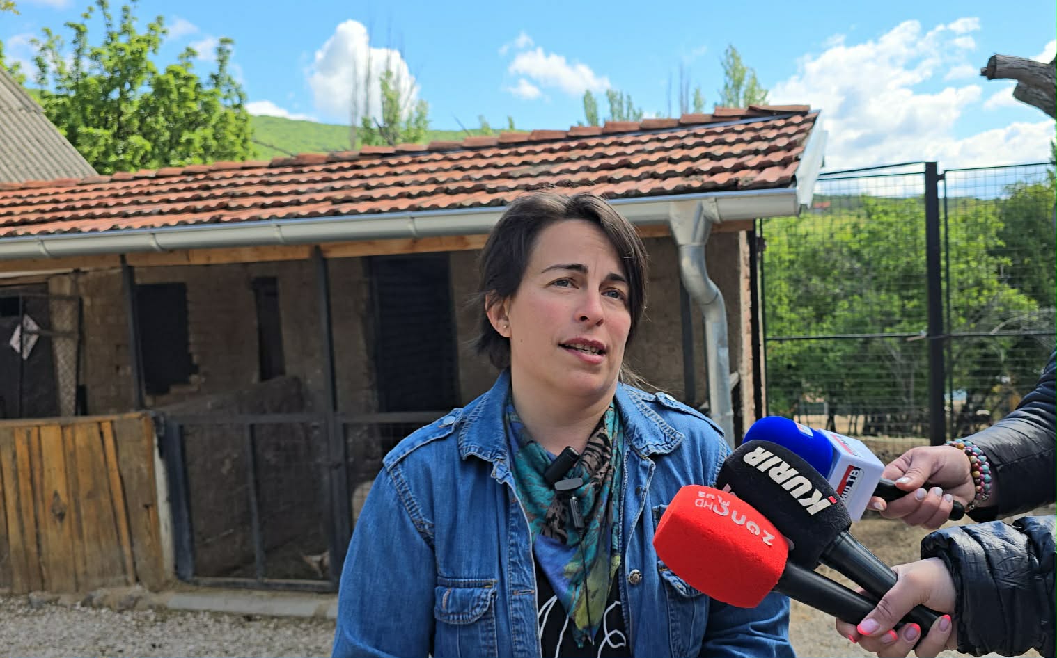 Jelena Cvetković