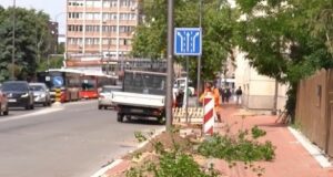 Obnova drvoreda u Voždovoj – posađeno 19 likvidambara Obnova drvoreda u Voždovoj - posađeno 19 likvidambara