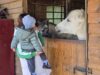 PRVOMAJSKI DAN U ZOO PLANETU: Piknik porodice i boravak u prirodi uz životinje PRVOMAJSKI DAN U ZOO PLANETU