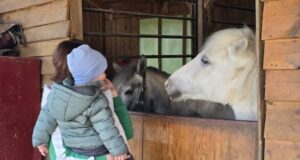 PRVOMAJSKI DAN U ZOO PLANETU: Piknik porodice i boravak u prirodi uz životinje PRVOMAJSKI DAN U ZOO PLANETU