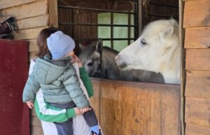 PRVOMAJSKI DAN U ZOO PLANETU: Piknik porodice i boravak u prirodi uz životinje PRVOMAJSKI DAN U ZOO PLANETU