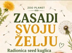 „Zasadi svoju želju” – kreativna i edukativna radionica u Zoo planetu Zasadi svoju želju