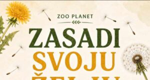 „Zasadi svoju želju” – kreativna i edukativna radionica u Zoo planetu Zasadi svoju želju