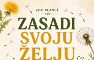 „Zasadi svoju želju” – kreativna i edukativna radionica u Zoo planetu Zasadi svoju želju