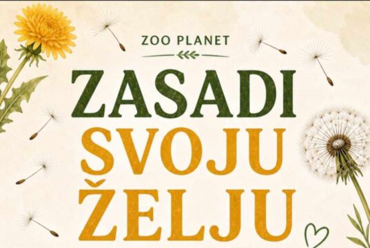 „Zasadi svoju želju” – kreativna i edukativna radionica u Zoo planetu Zasadi svoju želju