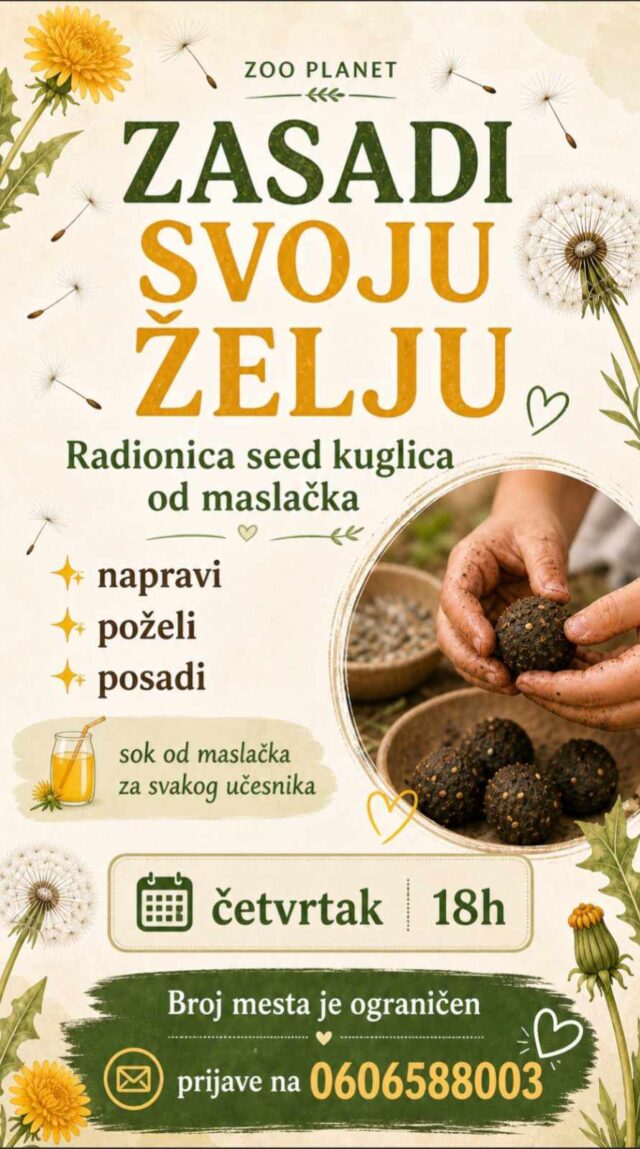 Zasadi svoju želju