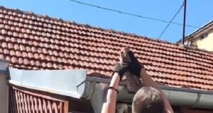 Akcija spasavanja vetruške u centru Niša: Aktivisti spasili majku i mladunče zapetljane u vlaknima džaka