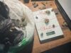 Uhapšene nišlije zbog neovlašćena proizvodnja i stavljanje u promet opojnih droga i promet oružja i eksplozivnih materija Marihuana