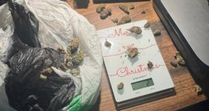 Uhapšene nišlije zbog neovlašćena proizvodnja i stavljanje u promet opojnih droga i promet oružja i eksplozivnih materija Marihuana