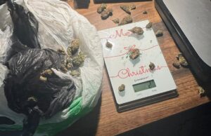 Uhapšene nišlije zbog neovlašćena proizvodnja i stavljanje u promet opojnih droga i promet oružja i eksplozivnih materija Marihuana