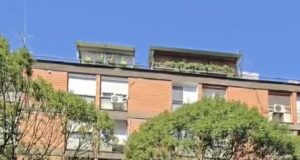 JKP „MEDIANA“ – SAOPŠTENJE POVODOM NAVODA O SEČI STABALA U OBRENOVIĆEVOJ