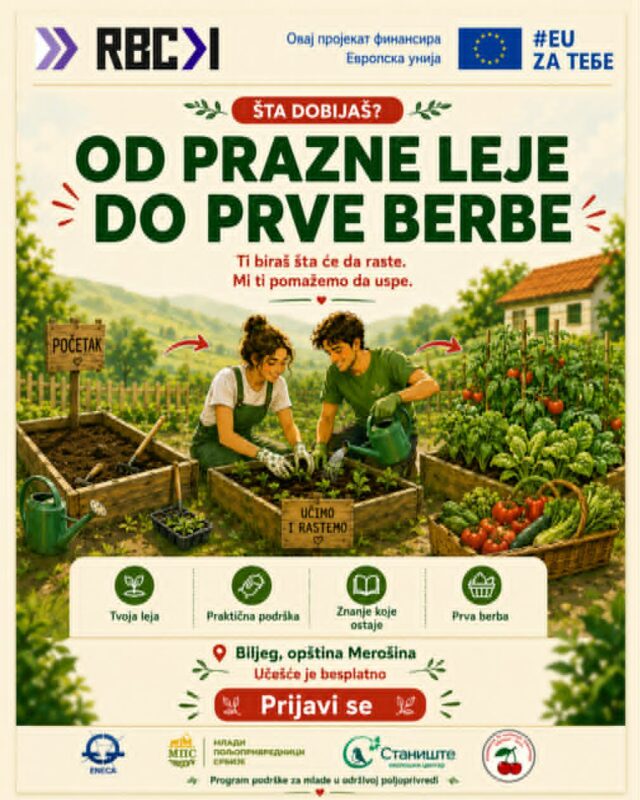 Od prazne leje do prve berbe