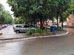 Ekipe JКP „Mediana“ nastavljaju radove na održavanju javnih i zelenih površina