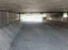 Uklonjena divlja deponija kod Osnovne škole „Ćele kula” Divlja deponija kod Osnovne škole Ćele kula