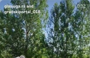 U saobraćajnoj nezgodi koja se dogodila danas oko 14.30 časova u selu Tasković, u opštini Gadžin Han, povređeno je više osoba. Kako javljaju očevici, ima i poginulih.