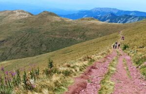 Stazama Stare planine: Akcija uspona na Midžor i tura oko Babinog zuba Stazama Stare planine