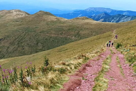 Stazama Stare planine: Akcija uspona na Midžor i tura oko Babinog zuba Stazama Stare planine