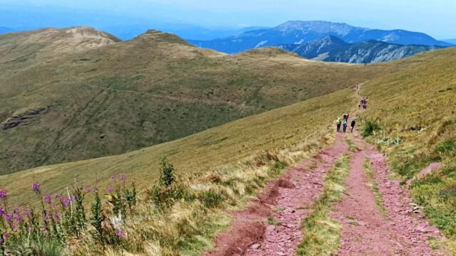 Stazama Stare planine Stazama Stare planine