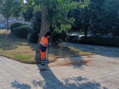 U petak, 28. avgusta, ekipe JКP „Mediana“ nastavljaju redovne aktivnosti na čišćenju i uređenju javnih površina širom grada.