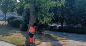 U petak, 28. avgusta, ekipe JКP „Mediana“ nastavljaju redovne aktivnosti na čišćenju i uređenju javnih površina širom grada.