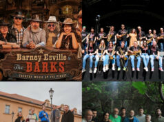 Ko sve (još) nastupa u glavnom programu Nišvilla: Sastavi iz Luksemburga, Poljske, Češke, Bugarske, Slovenije i Srbije Bamey Esille and BARKS, Bend-it, Deaf Platypus, Del Arno Band