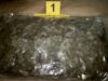 Uhapšen A. R. (2006) iz Niša zbog posedovanja 1. kg marihuane i bega odpolicije Marihuana