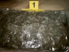Uhapšen A. R. (2006) iz Niša zbog posedovanja 1. kg marihuane i bega odpolicije Marihuana