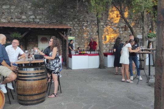 Međunarodni sajam vina i rakije 7. i 8. avgusta na Letnjoj pozornici u Niškoj tvrđavi Naissus Wine & Fine
