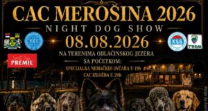 Noćna izložba pasa i specijalka nemačkih ovčara u subotu na Oblačinskom jezeru Noćna izložba pasa i specijalka nemačkih ovčara