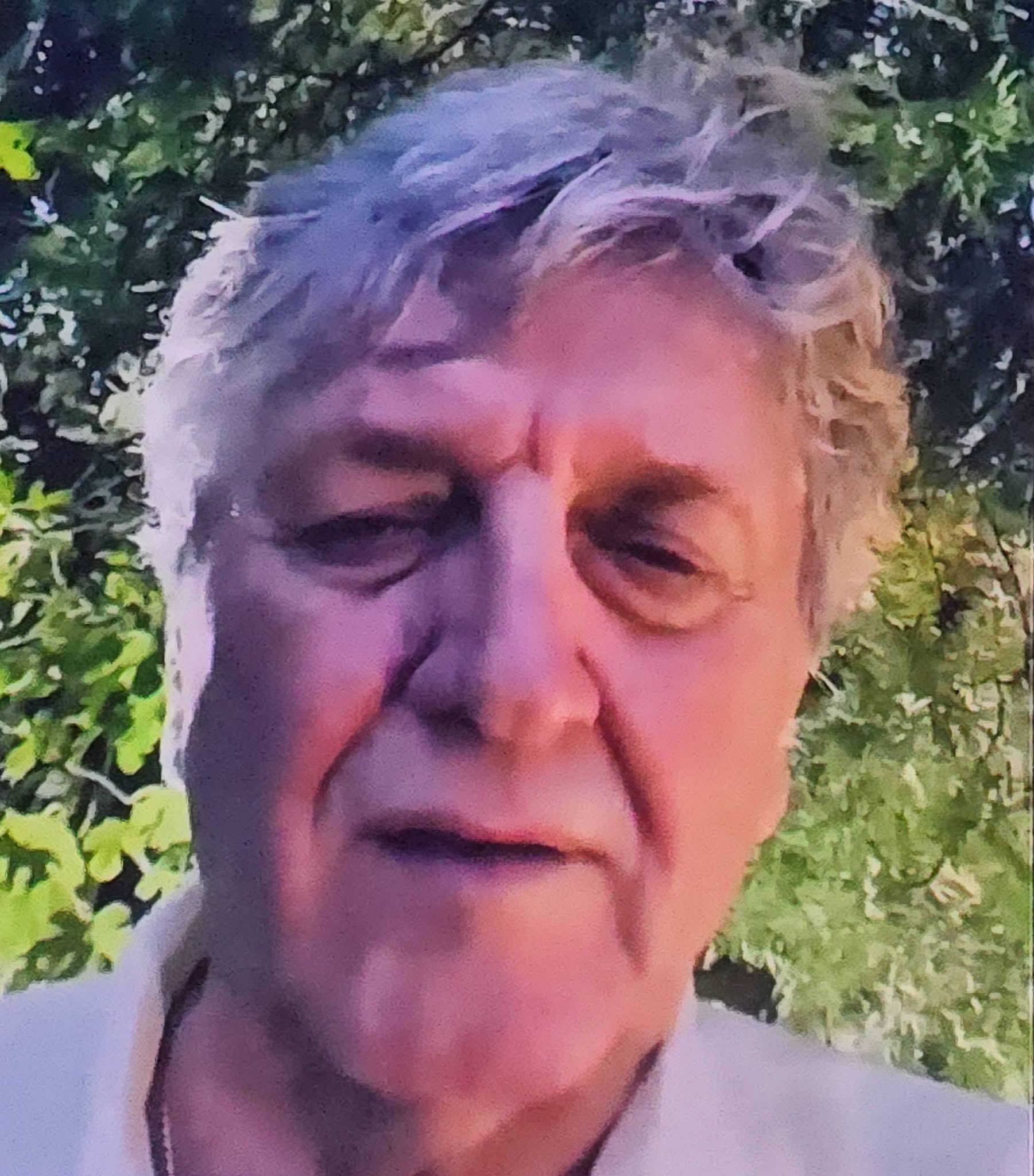 Radoš Bajić