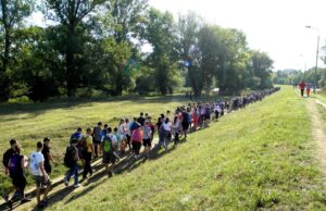 Dan pešačenja u Nišu: Dve staze do Čegra i Vinika Dan pešačenja u Nišu