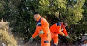 Ponovo očišćena divlja deponija kod groblja u Novom Selu