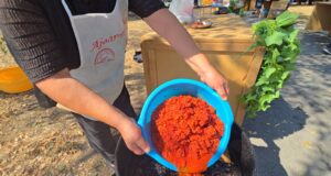 MIRIS PEČENE PAPRIKE OBAVIO NIŠKU TVRĐAVU: Treća Ajvarijada vratila duh tradicije, svekrva i snaja otkrile recept za savršen ajvar