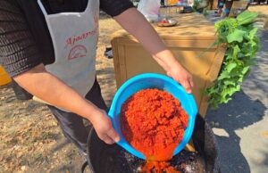 MIRIS PEČENE PAPRIKE OBAVIO NIŠKU TVRĐAVU: Treća Ajvarijada vratila duh tradicije, svekrva i snaja otkrile recept za savršen ajvar