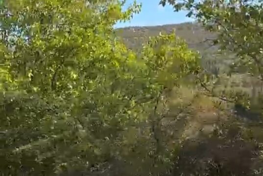 Između sela Jasenovik i Vrelo na putu kod Niša jutros oko 9.15 sati je sletelo teretno vozilo sa puta.