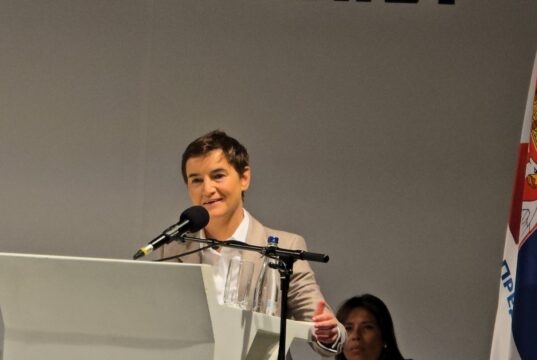 BRNABIĆ SA GLAVNOG ODBORA SNS U NIŠU: „MORAMO DA ODBRANIMO I SAČUVAMO SRBIJU“