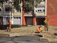 Stanari i deca odlučivali kako će izgledati novi prostor za druženje u Branka Krsmanovića