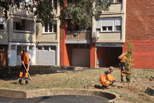Stanari i deca odlučivali kako će izgledati novi prostor za druženje u Branka Krsmanovića