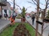 Ekipe JКP „Mediana“ danas će raditi na održavanju javne higijene, uređenju zelenih površina i održavanju drvoreda na više lokacija u Nišu.