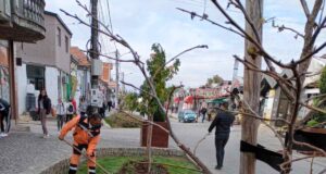 Ekipe JКP „Mediana“ danas će raditi na održavanju javne higijene, uređenju zelenih površina i održavanju drvoreda na više lokacija u Nišu.