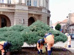 JKP „MEDIANA“ – AKTIVNOSTI ZA 14.10.2026.