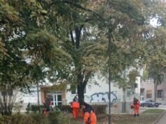 JKP MEDIANA – AKTIVNOSTI ZA 27.10.2026.
